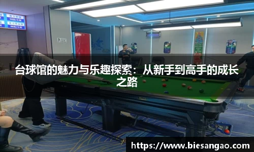 台球馆的魅力与乐趣探索：从新手到高手的成长之路