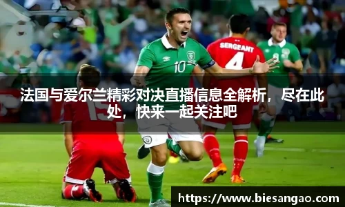 法国与爱尔兰精彩对决直播信息全解析，尽在此处，快来一起关注吧