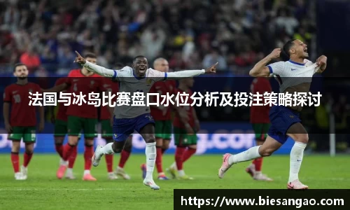 法国与冰岛比赛盘口水位分析及投注策略探讨